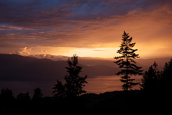 Nature, Sunset, Sky, Wood, Tree, Spruce, Fir, Hills HD wallpaper