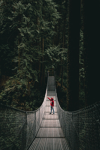 Miscellanea, Miscellaneous, Forest, Bridge, Loneliness, Lonely, Alone HD phone wallpaper