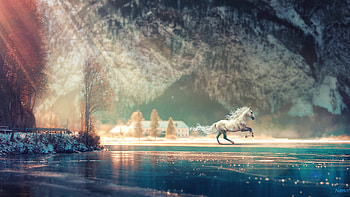 Horse Running Fantasy HD wallpaper