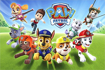Paw Patrol . Paw patrol birtay, Paw patrol nickelodeon, Paw patrol show, Rocky Paw Patrol HD wallpaper