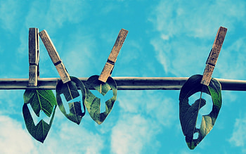 Sky, Leaves, Clouds, Words, Clothespins, Rope HD wallpaper