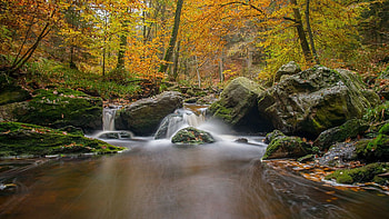 Autumn Forest, trees, creek, forest, stones, rocks HD wallpaper