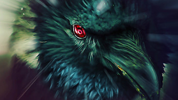 Itachi's Crow - Naruto - 1023679 HD wallpaper
