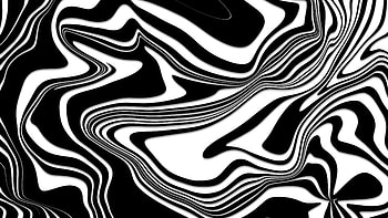 Zebra Abstract, zebra, white, black, abstract, artist, artwork, digital-art HD wallpaper
