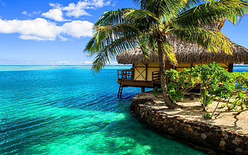 Exotic, bungalow, tropics, palm, beach, trees, bungalows, resort, ocean HD wallpaper