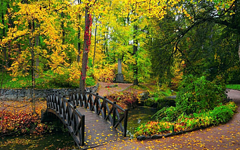 cute park bridge, trees, bridge, parh, park, stream HD wallpaper