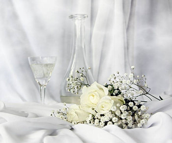 All in White, rose, decanter, white, satin, gypsophila, glass HD wallpaper
