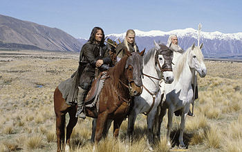 Cinema, Animals, People, Actors, Horses, Men, Lord Of The Rings HD wallpaper