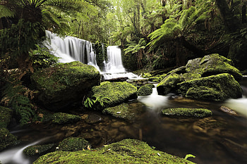 Nature, water current, waterfall, forest, rocks HD wallpaper