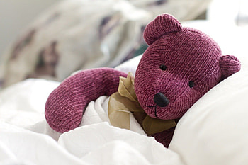 Teddy bear, toy, bear, teddy, graphy, cool, , nice HD wallpaper