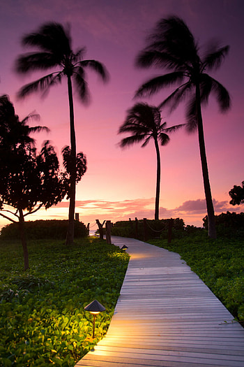 Kahekili Beach, Maui (Hawaii) HD phone wallpaper