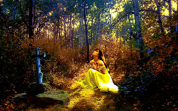 Tree, Beautiful, Women, Forest, Grave HD wallpaper