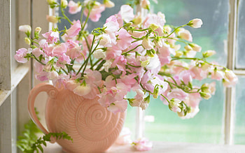 Plants, Flowers, Bouquets HD wallpaper