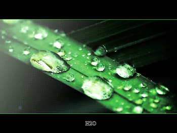 drops HD wallpaper