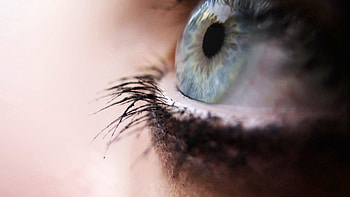 Macro, Eye, Pupil, Eyelash, Eyelashes HD wallpaper