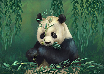 Panda bear, animal, black, maria pechenkina, white, bear, green, cute, panda, bamboo HD wallpaper