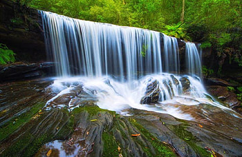 Forest Waterfall, waterfall, water, forest, tree HD wallpaper