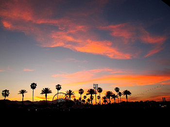 Coachella, Live music experience, Musical diversity, Fan excitement HD wallpaper