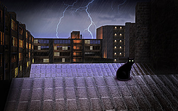 Black Cat On Rooftop Lightning , cat, animals, artist, artwork, digital-art, deviantart HD wallpaper