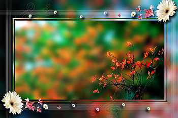 Psd Wedding Background For hop - Marriage Album Design Background Psd HD wallpaper