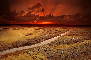 red sunset, sun, sunset, red, beach HD wallpaper