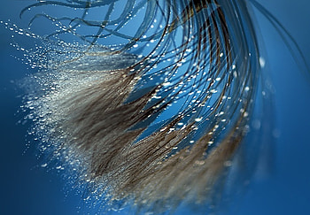 waterdance, blue, grase, water, bubbles HD wallpaper