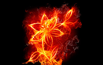 Flowers, Background, Art, Fire HD wallpaper