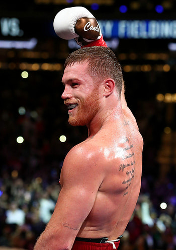 Saul Alvarez, Boxing champion, Fan art, Zoey Mercado HD phone wallpaper