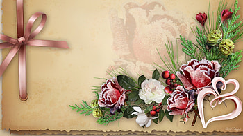 Be My Valentine, frost, ribbon, parchment paper, cedar, Valentines Day, cones, snow, hearts, red rose, vintage, bow HD wallpaper