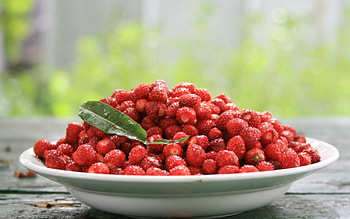 FRESH MORNING, hot, , cool, food, nice HD wallpaper