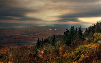 Nature, Autumn, Clouds, Forest, Fog, Height, Evening HD wallpaper