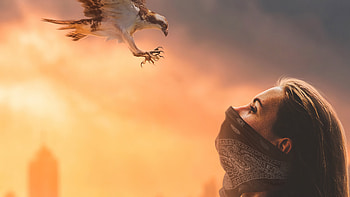 Girl And Hawk, hawk, artist, artwork, digital-art HD wallpaper