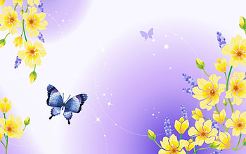 Butterflies, Background HD wallpaper