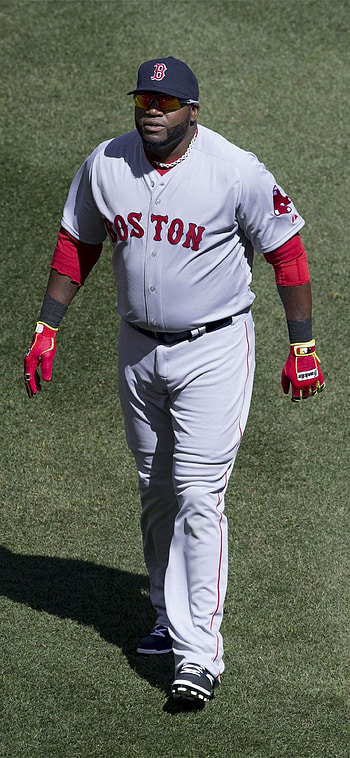 Boston Red Sox, , Team pride, Fan HD phone wallpaper