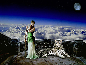 Sky Maiden, clouds, maid, tiger, moon HD wallpaper