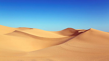 Dunes, Footprints in the Sand HD wallpaper