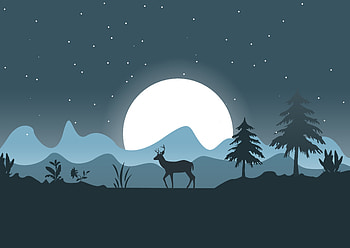 Deer, forest, outdoor, moon, minimal, art HD wallpaper