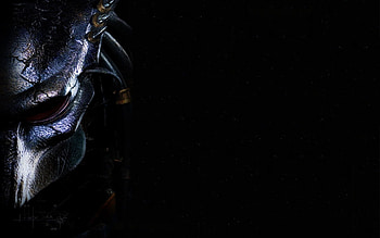 Cool predator , Menacing presence, Stealthy hunter, Intimidating gaze HD wallpaper