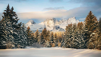 Tetons dressed in white, Wyoming, snow, clouds, trees, landscape, sky, mountains, forest, usa HD wallpaper