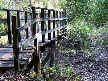 Bridge over dry creek bed, creek, leaves, woods, fall, bridge, nature HD wallpaper