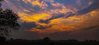 Sunset Preview, sky, nature, tree, , sun, twilight, cloud, orange, , , nature , , , dawn, , graphy HD wallpaper