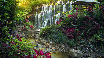 Waterfall in Indonesia, trees, river, rocks, stones, cascades HD wallpaper