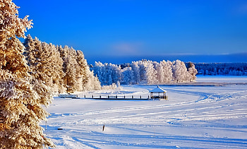 Winter, graphy, wonderful, snowflakes, snowflake, snow, trees, , sun, cold, beautiful, tree, nature, sky, lovely, splendor, ice HD wallpaper