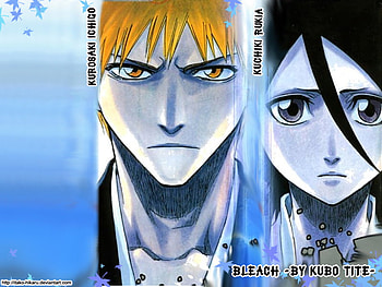 Ichigo and Rukia, teal the end, souls, ichigo, rukia HD wallpaper