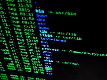 Close-up of colorful text on a computer screen, showcasing cybersecurity concepts. HD wallpaper