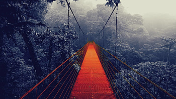 Travels, Bridge, , Backgrounds HD wallpaper