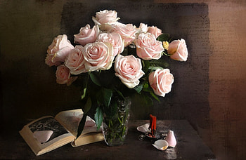 Still Life, pink, beautiful, roses HD wallpaper