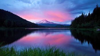 Psychedelic Tag - Sunset Reflection Grass Blue Lake Sky Water Pink Trees Nature Forest Snow Clouds HD wallpaper