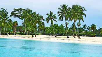 Caribbean Islands, Bahamas beach scenery, Tropical paradise, Caribbean vacation HD wallpaper