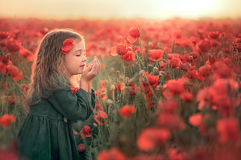 Little Girl, girl, poppy, flower, little HD wallpaper